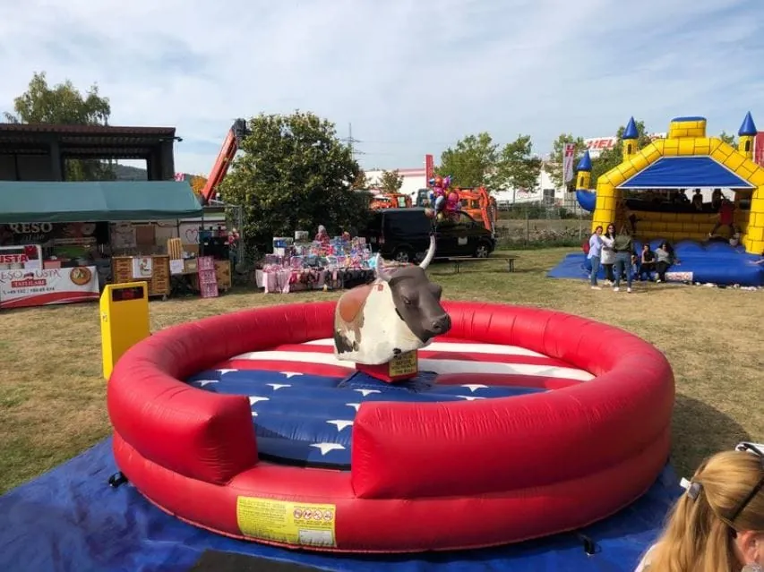 American Bullriding Bild 6