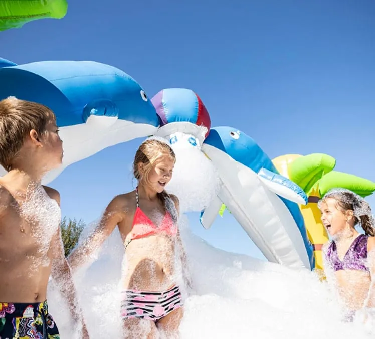 Delfin Bubblepark Bild 6