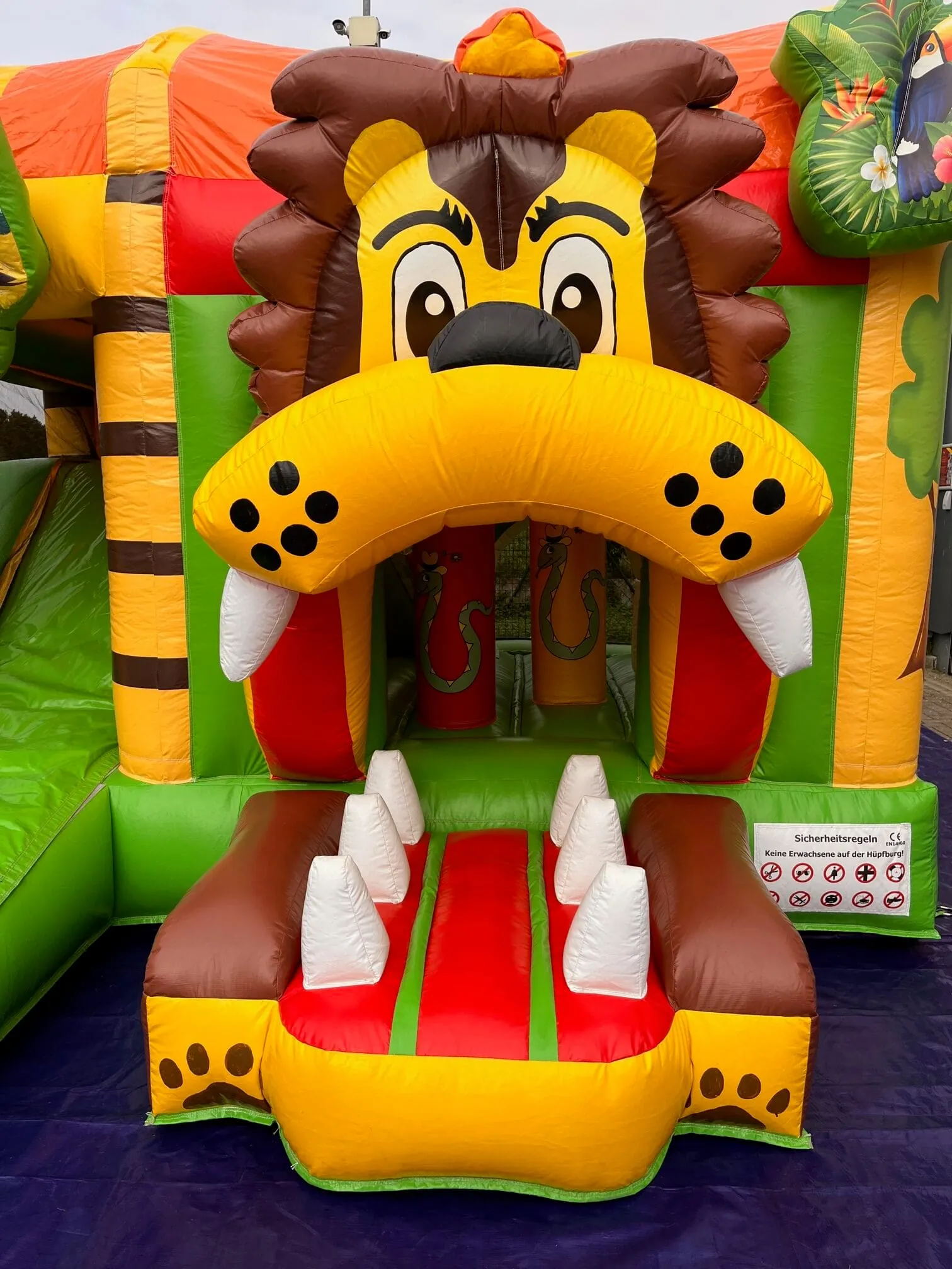 Safari Playcenter Bild 3